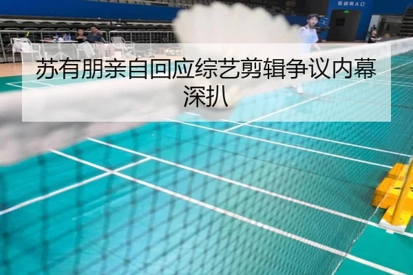 苏有朋亲自回应综艺剪辑争议内幕深扒