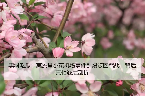 黑料吃瓜：某流量小花机场事件引爆饭圈骂战，背后真相逐层剖析
